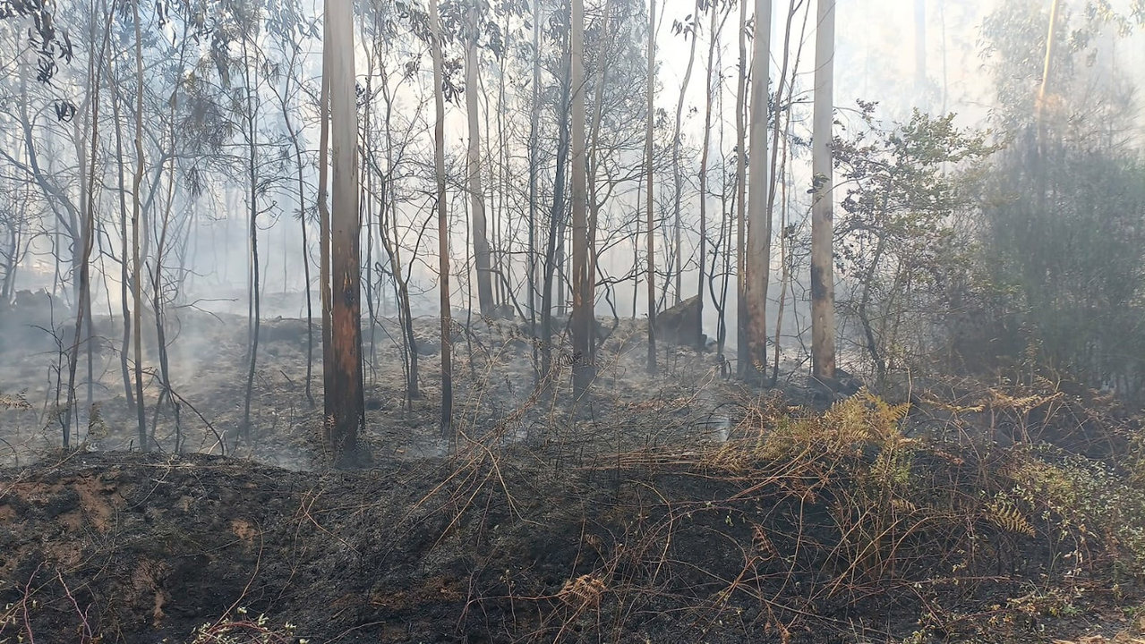 Incendio de Xiabre 05-08-2022 por la mañana cerca de Castroagudín. DS