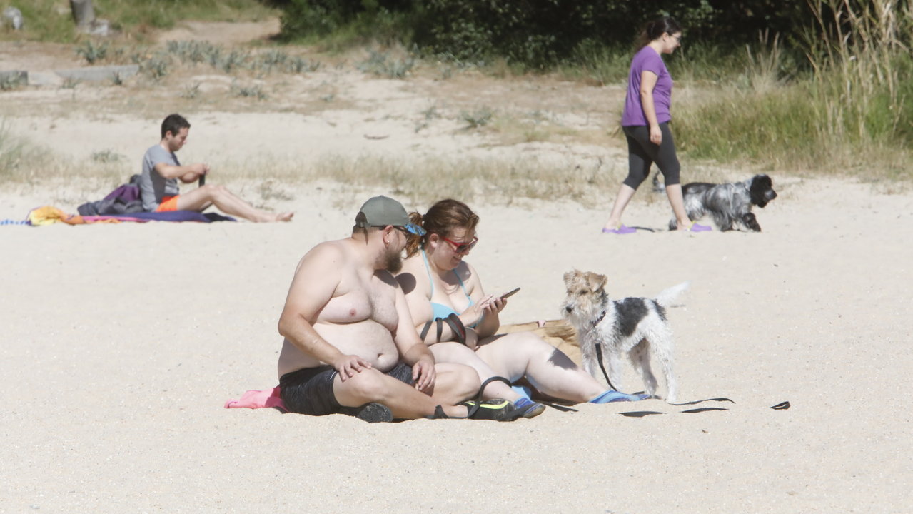 <p> Perros en una playa disfrutando de un día soleado junto a sus dueños. J.L. OUBIÑA (ADP) </p>