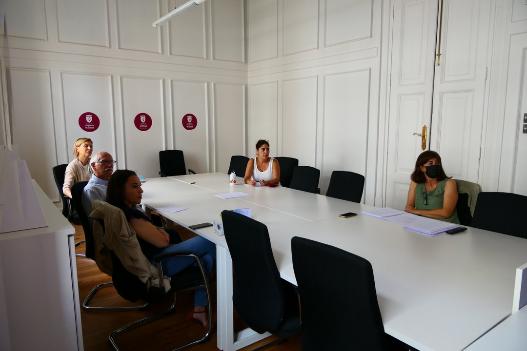 Reunión del IV Plan de Igualdade Concello de Vilagarcía. DS