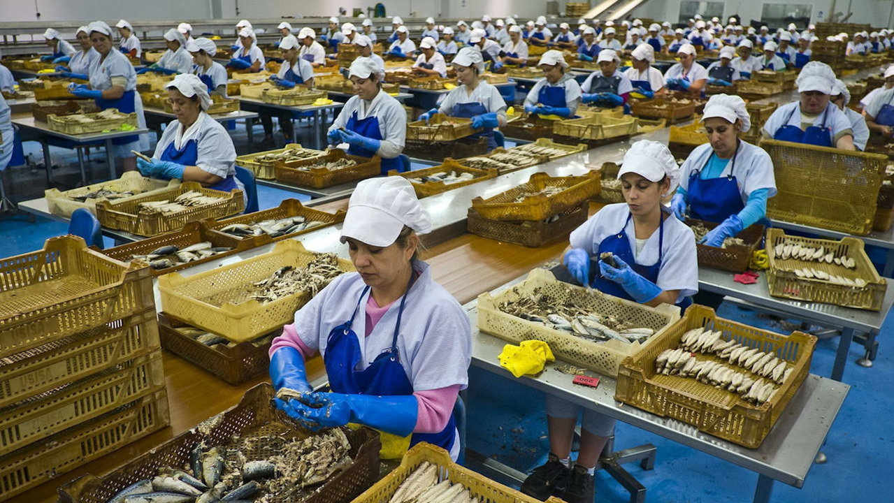 Trabajadoras, en una conservera de pescado. DS