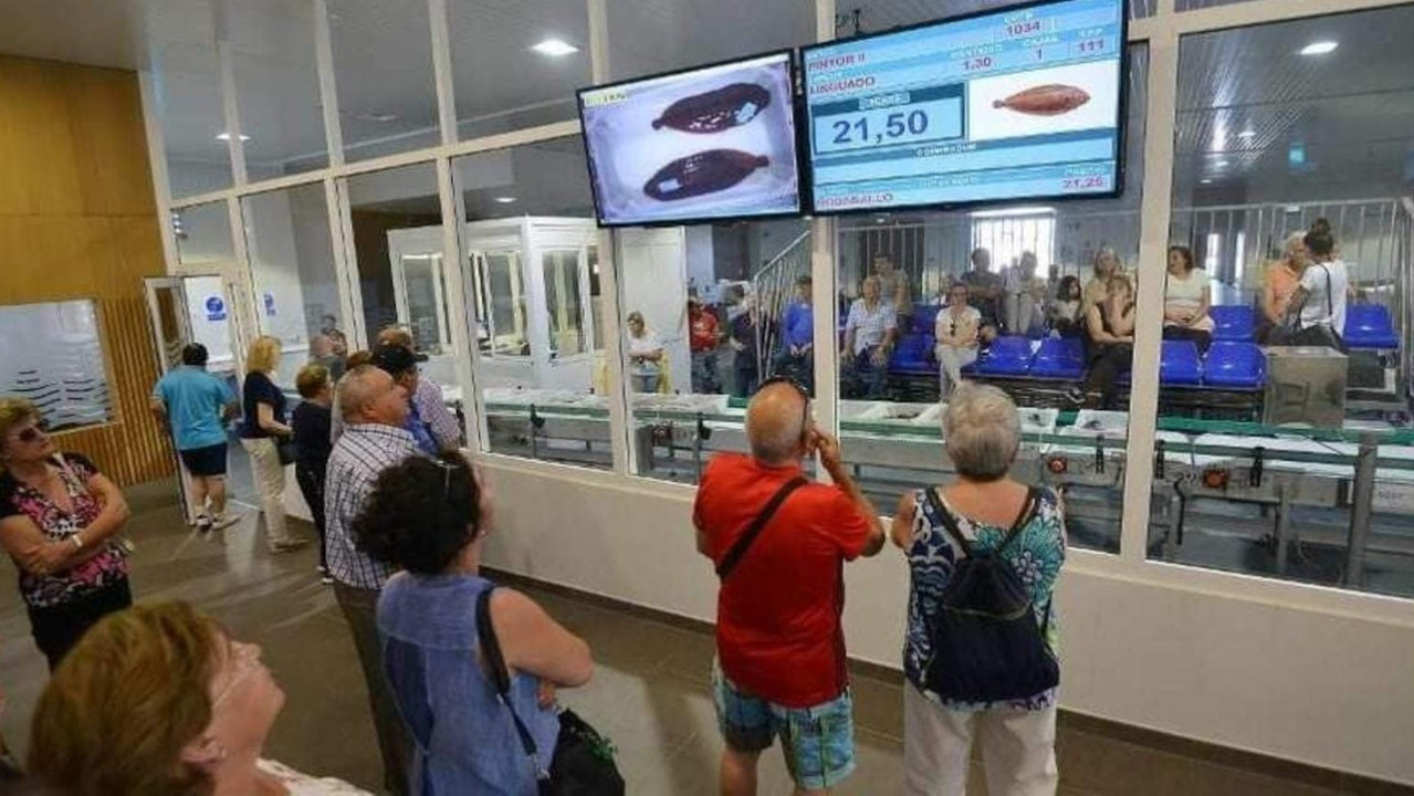 Turistas durante unha visita guiada á lonxa de Portonovo. DS