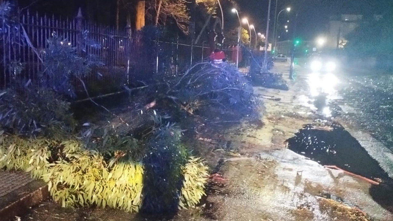 Ramas caídas sobre la carretera en Rosalía de Castro. PC VILAGARCÍA